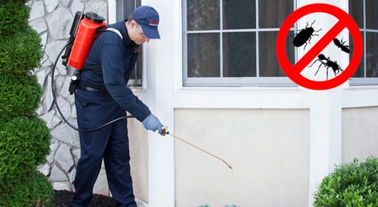 Armutlu Karınca İlaçlama böcek ilaçlama ve haşere kontrolü — ilaclama-tr.com